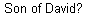 Matt 12:23-24
