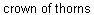 Matt 27:27-31