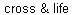 Matt 16:24-26