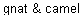 Matt 23:23-24